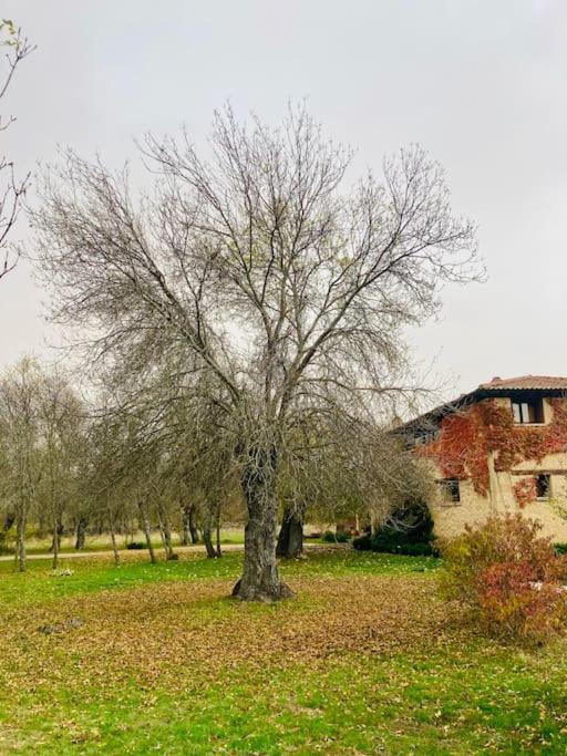 Casa Rural La Fresneda De Tenzuela Сеговия Экстерьер фото